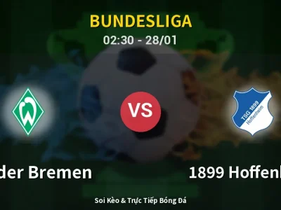 Kết Quả: Werder Bremen 0-2 1899 Hoffenheim – Highlight & Bàn Thắng | Bundesliga