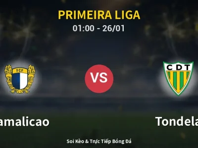 Kết Quả: Famalicao 3-0 Tondela – Highlight & Bàn Thắng | Primeira Liga