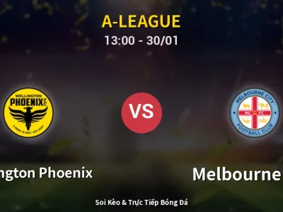 Kết Quả: Wellington Phoenix 2-2 Melbourne City – Highlight & Bàn Thắng | A-League