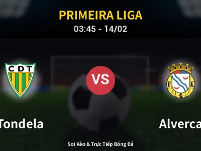Kết Quả: Tondela 1-1 Alverca – Highlight & Bàn Thắng | Primeira Liga
