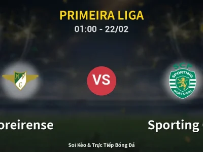 Kết Quả: Moreirense 0-3 Sporting CP – Highlight & Bàn Thắng | Primeira Liga