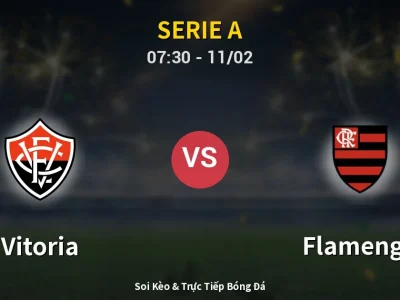 Kết Quả: Vitoria 1-2 Flamengo – Highlight & Bàn Thắng | Serie A