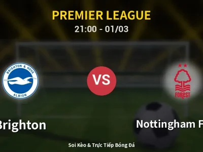🔴 Trực Tiếp: Brighton 2-1 Nottingham Forest – Link Xem Premier League (Full HD)