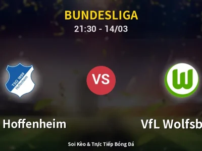 🔴 Trực Tiếp: 1899 Hoffenheim 0-0 VfL Wolfsburg – Link Xem Bundesliga (Full HD)