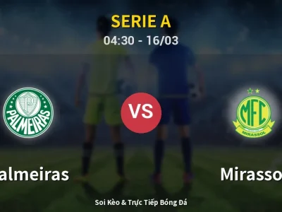Kết Quả: Palmeiras 1-0 Mirassol – Highlight & Bàn Thắng | Serie A