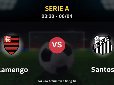 Kết Quả: Flamengo 3-1 Santos – Highlight & Bàn Thắng | Serie A