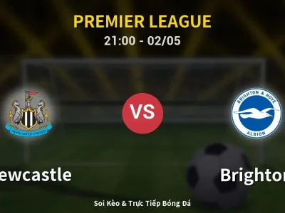 Soi Kèo Newcastle vs Brighton – 21:00 02/05 | Nhận Định, Dự Đoán Tỷ Số